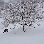 Διαμέρισμα Langeck Maria Alm am Steinernen Meer