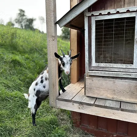 Langeck Appartement