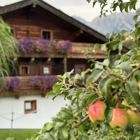 Langeck Appartement *